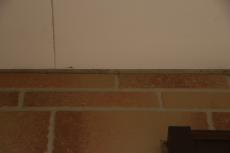 2020 0422 Jsama mae054.JPG