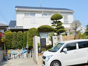 2020 0428 Ssama go001.JPG