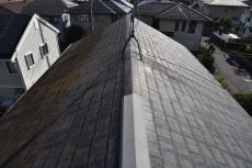 2020 0428 Ssama mae006.JPG