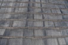 2020 0428 Ssama mae009.JPG