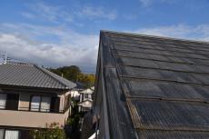 2020 0428 Ssama mae010.JPG