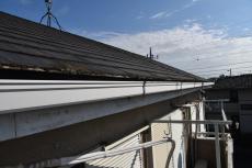 2020 0428 Ssama mae011.JPG