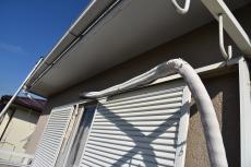 2020 0428 Ssama mae014.JPG