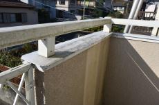 2020 0428 Ssama mae015.JPG