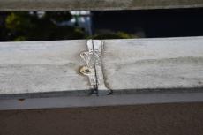 2020 0428 Ssama mae018.JPG