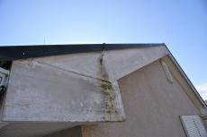 2020 0428 Ssama mae022.JPG