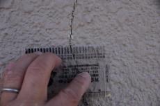 2020 0428 Ssama mae023.JPG