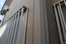 2020 0428 Ssama mae030.JPG