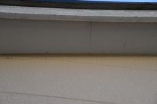 2020 0428 Ssama mae032.JPG