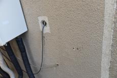 2020 0428 Ssama mae034.JPG