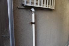 2020 0428 Ssama mae037.JPG