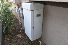 2020 0428 Ssama mae038.JPG