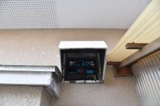 2020 0428 Ssama mae040.JPG