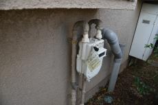 2020 0428 Ssama mae043.JPG