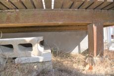 2020 0508 Ysama mae028.JPG