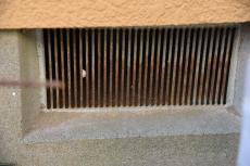 2020 0508 Ysama mae041.JPG