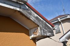 2020 0508 Ysama mae046.JPG