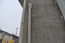 2020 0510 Isama mae20.JPG