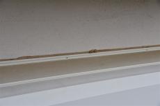 2020 0510 Isama mae25.JPG