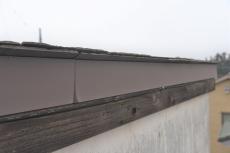 2020 0510 Isama mae33.JPG