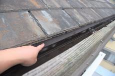 2020 0510 Isama mae37.JPG