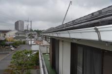 2020 0511 Ssama mae07.JPG