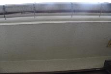 2020 0511 Ssama mae11.JPG