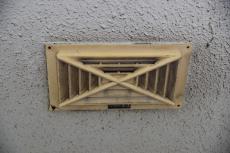 2020 0511 Ssama mae12.JPG