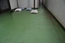 2020 0511 Ssama mae14.JPG