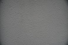 2020 0511 Ssama mae15.JPG