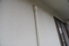 2020 0511 Ssama mae16.JPG