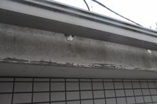 2020 0511 Ssama mae20.JPG