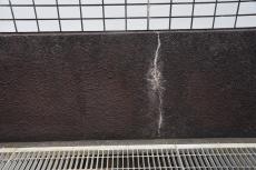 2020 0511 Ssama mae28.JPG