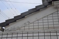 2020 0511 Ssama mae29.JPG