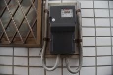 2020 0511 Ssama mae32.JPG