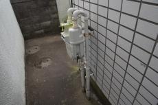 2020 0511 Ssama mae33.JPG