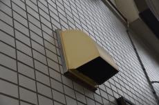 2020 0511 Ssama mae34.JPG