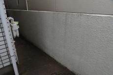 2020 0511 Ssama mae35.JPG