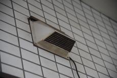 2020 0511 Ssama mae40.JPG