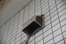 2020 0511 Ssama mae41.JPG