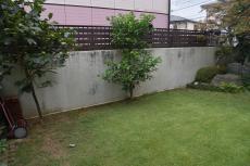 2020 0511 Ssama mae47.JPG