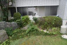 2020 0511 Ssama mae48.JPG