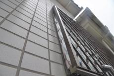 2020 0511 Ssama mae49.JPG