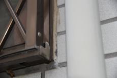 2020 0511 Ssama mae50.JPG