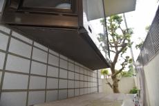 2020 0511 Ssama mae52.JPG