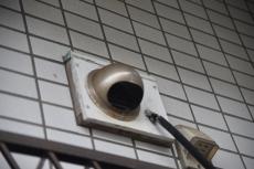 2020 0511 Ssama mae53.JPG