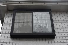 2020 0511 Ssama mae54.JPG