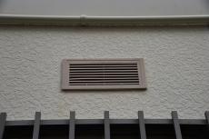 2020 0512 Nsama mae14.JPG