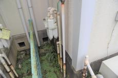 2020 0512 Nsama mae27.JPG