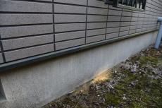 2020 0516 Ksama mae21.JPG